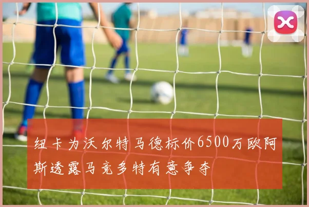 纽卡为沃尔特马德标价6500万欧阿斯透露马竞多特有意争夺